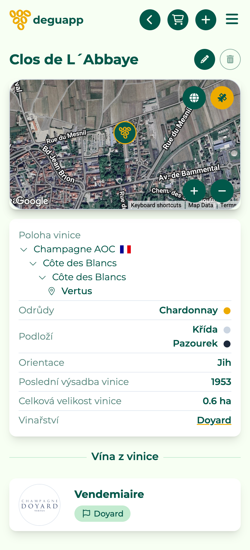 Vinice