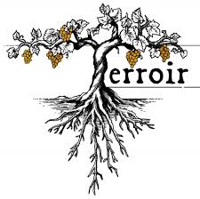 Terroir-Champagne